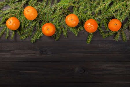 New Year Concept. Christmas background from tangerines mandarins on fir tree branches on dark wooden background with space for your text.の写真素材