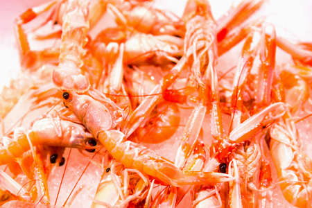 Fresh raw shrimps at the Rialto market in Venice, Italy. Selective focus.の写真素材