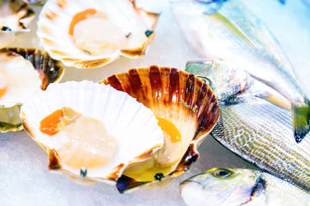 Oyster shells close up on ice with fish in a restaurantの写真素材