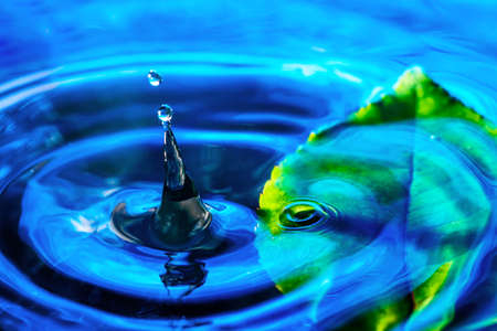 Amazing abstract shot of water drop splash near the green leaf in water. Macro shot with selective...