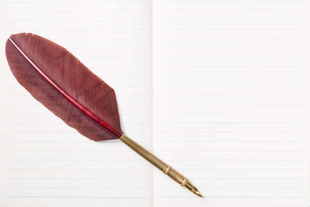 Vintage brown quill feather pen close up on blank notebook. Copy space. Literature conceptの写真素材