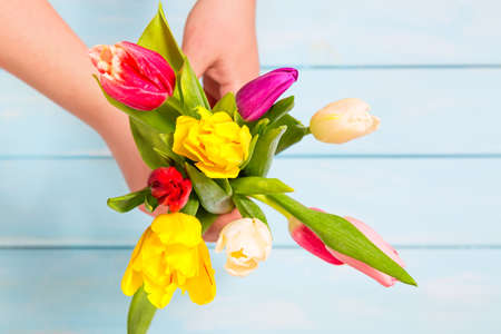 Romantic concept. Close up of colorful tulip flowers in female hands against light blue wooden background. Colorful and fresh flower bouquet. Mothersday conceptの写真素材