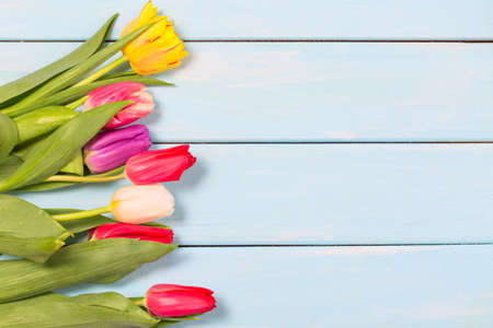Colorful spring tulip flowers on light blue wooden background as greeting card with free space. Mothersday or spring conceptの写真素材