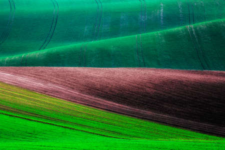 Rural spring agriculture texture background. Green and brown waves hills in South Moravia, Czech Republic. Spring nature landscapeの写真素材