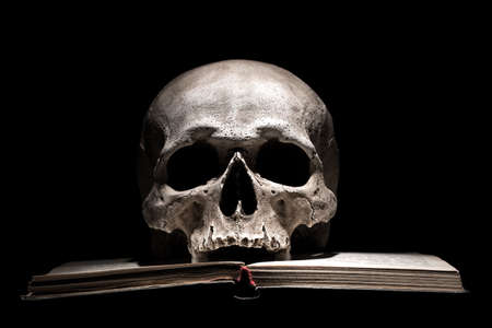 Human skull on old open book on black background. Dramatic conceptの写真素材