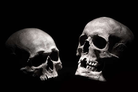 Human skulls on a black background. Drama concept.の写真素材