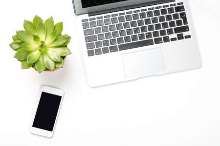 Conceptual workspace or business concept. Laptop computer with plant in a pot and modern cell phone...