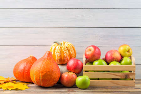 Various pumpkins with colorful maple leaves and ripe apples in a box against light wooden wall background. Autumn and halloween concept. Free spaceの写真素材