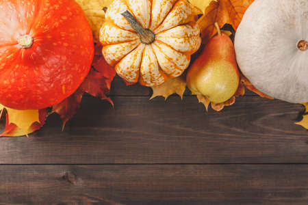 Pumpkins with colorful maple leaves and pear on dark wooden background. Autumn seasonal image with free space for your text.の写真素材