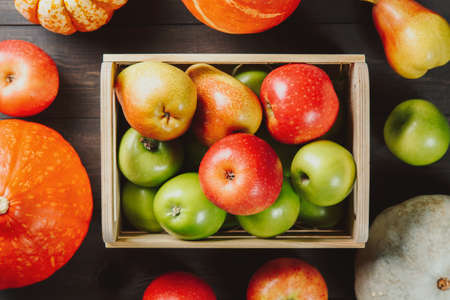Ripe apples in a box with pumpkins and pears on dark wooden background. Autumn seasonal image. Top view.の写真素材