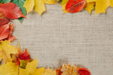 Colorful autumn leaves foliage on burlap or sackcloth texture background. Free space for your textの写真素材