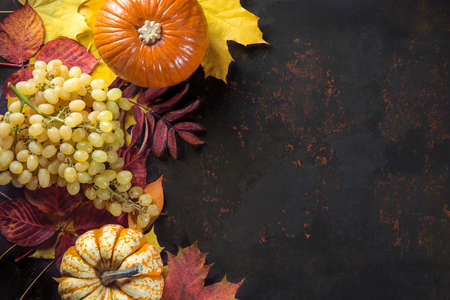 mn decoration with pumpkins and grapes on colorful leaves on dark background. Top view with free space for your text.の写真素材