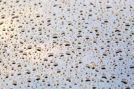 Abstract background with water droplets. Water drops