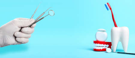 Dental health and teethcare concept. Dental mirror, human jaw model and dental floss near white tooth model with toothbrush. Instruments in doctors hand with rubber glove on light blue backgroundの写真素材