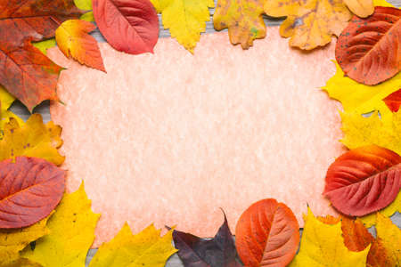 Autumn concept. Frame composed of colorful autumn leaves foliage.