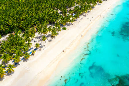 Aerial drone view of beautiful caribbean tropical island beach with palms. Saona, Dominican Republic. Vacation backgroundの写真素材