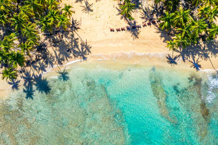 Aerial drone view of beautiful wild caribbean tropical beach with palms and quad bikes. Dominican Republic. Vacation backgroundの写真素材