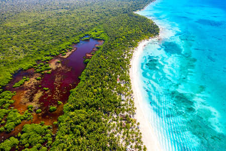 Aerial drone view of beautiful caribbean tropical island beach with palms. Saona, Dominican Republic. Vacation backgroundの写真素材
