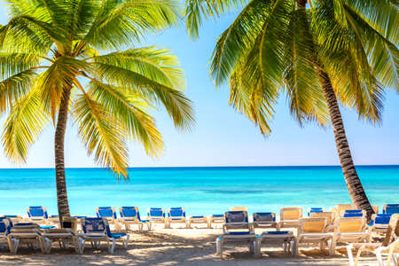 Beautiful tropical beach with sun loungers and palms. Saona Island, Dominican Republic. Caribbean resort. Vacation travel backgroundの写真素材