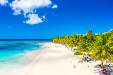 Aerial drone view of beautiful caribbean tropical island beach with palms. Saona, Dominican Republic. Vacation backgroundの写真素材