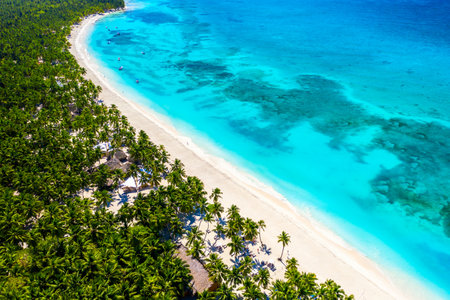 Aerial drone view of beautiful caribbean tropical island beach with palms. Saona, Dominican...