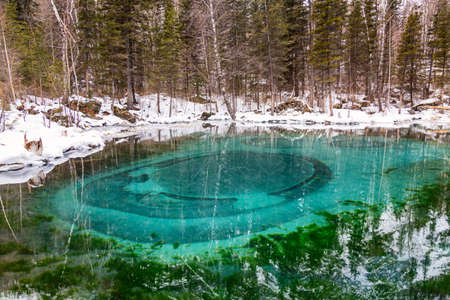 Blue turquoise geyser thermal lake in the winter forest. Altai Republic, Russiaの写真素材
