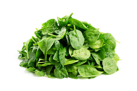 Bunch of baby spinach leaves isolated white background.の写真素材