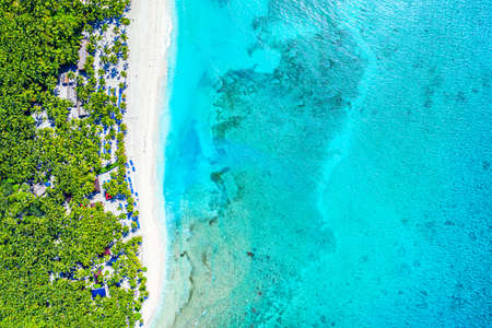Paradise tropical island nature background. Top aerial drone view of beautiful beach with turquoise sea water and palm trees. Saona island, Dominican republicの写真素材