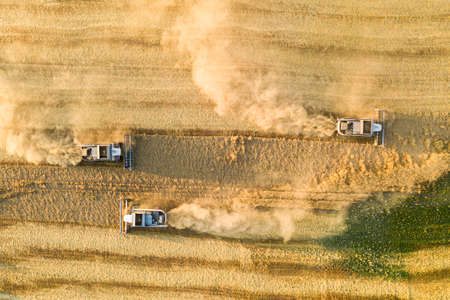 Aerial drone view of combine harversters on the harvest field. Agriculture conceptの写真素材