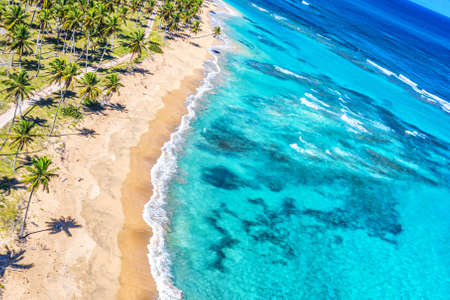 Tropical summer beach with coconut palm trees background. Aerial drone idyllic turquoise sea vacation background. Dominican Republicの写真素材