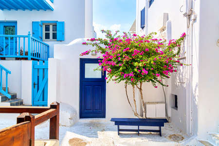 Iconic Mykonos picture. Famous old town street with white houses, blue fences and bougainvillea flower. Mykonos island, Greece.の写真素材