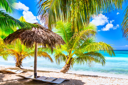 Straw umbrella on the tropical beach with white sand, ocean and palms. Vacation travel relaxation background. Saona island in Dominican Republic.の写真素材