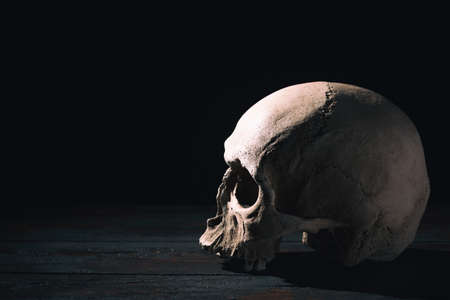 Old human skull close up against black background.の写真素材