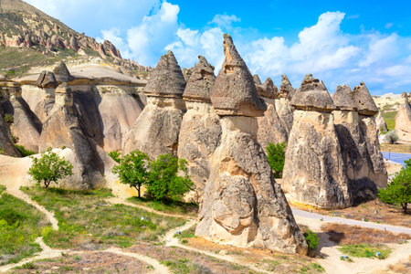 Fairy chimneys rock formations in Pasabag valley in Cappadocia, Turkey. Popular tourist destination in Turkeyの写真素材