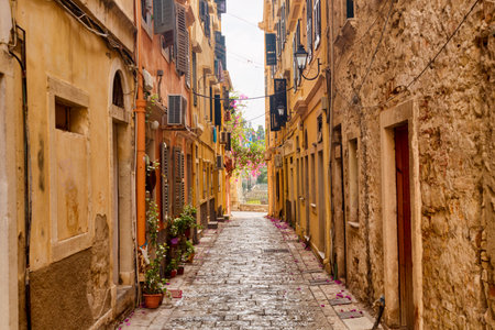 Kerkyra city narrow street view with yellow colorful houses and pink flowers during sunny day. Corfu Island, Ionian Sea, Greeceの写真素材