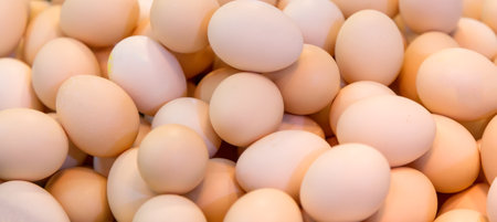 Chicken eggs as a background. Banner wide format.