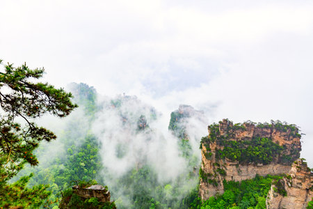 Zhangjiajie National park. Famous tourist attraction in Wulingyuan, Hunan, China. Amazing natural landscape with stone pillars quartz mountains in fog and clouds.の写真素材