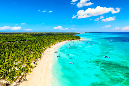 Beach vacation background. Caribbean resort Aerial drone view of beautiful Caribbean tropical island beach with palms. Saona, Dominican Republic.の写真素材