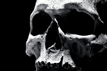 Old human skull detail close up portrait on black backgroundの写真素材