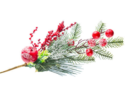 Artificial decorated frozen Christmas tree branch with red berries in snow isolated on white background.の写真素材
