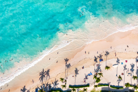 Aerial drone view of beautiful atlantic tropical beach with palms and ocean waves. Bavaro, Punta Cana, Dominican Republic. Vacation backgroundの写真素材