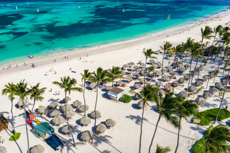Aerial drone view of beautiful Caribbean tropical beach with palms and straw umbrellas. Bavaro, Punta Cana, Dominican Republic. Vacation backgroundの写真素材