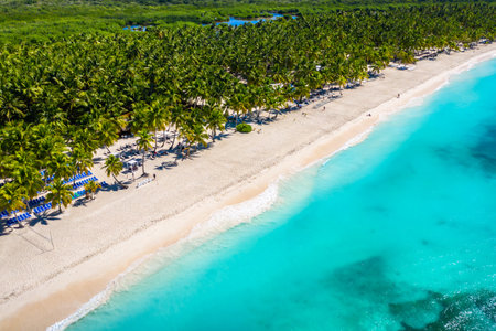 Aerial drone view of beautiful Caribbean tropical island beach with palms. Saona, Dominican Republic. Vacation background. Famous tourist resort.の写真素材