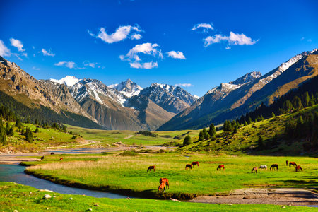 Kyrgyzstan nature landscape. Beautiful green alpine meadows with horses and river against Tien-Shan mountains in Kyrgyzstanの写真素材