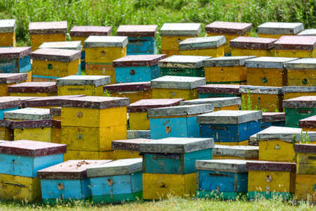 Mountain apiary with bees in the mountains of Kyrgyzstan near Issyk-Kul lake.の写真素材