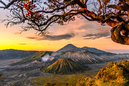 Bromo volcano during sunrise in Bromo Tengger Semeru National Park, East Java, Indonesiaの写真素材
