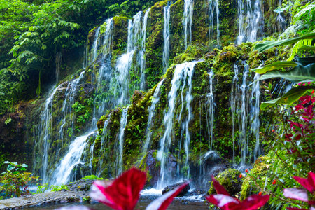 Beautiful Banyu Wana Amertha Waterfall. Buleleng, Bali, Indonesiaの写真素材