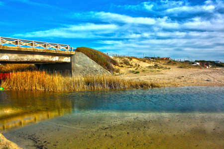 pond crossed by the bridgeの写真素材
