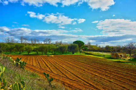 cultivated land in Italyの写真素材