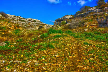 the Mediterranean scrub in Salentoの写真素材